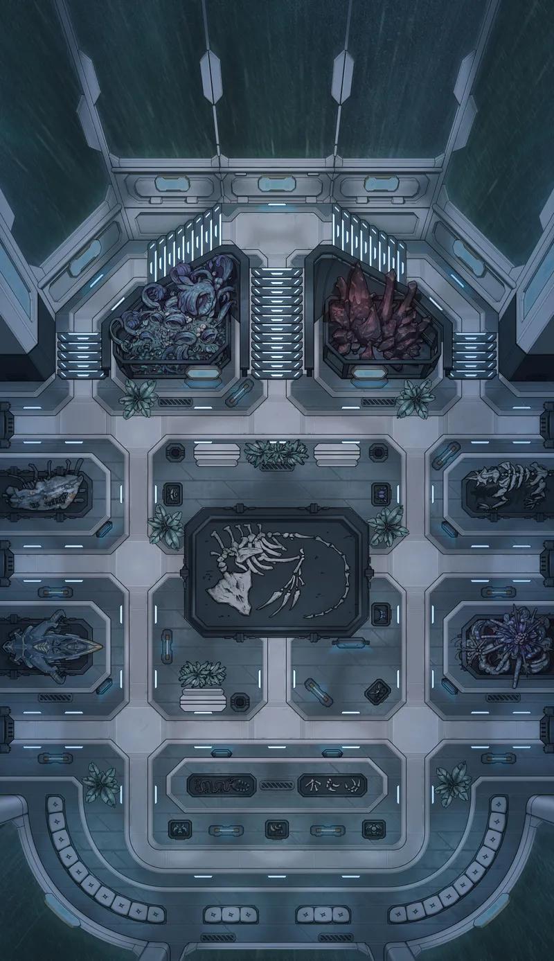 Intergalactic Museum map, Rain variant
