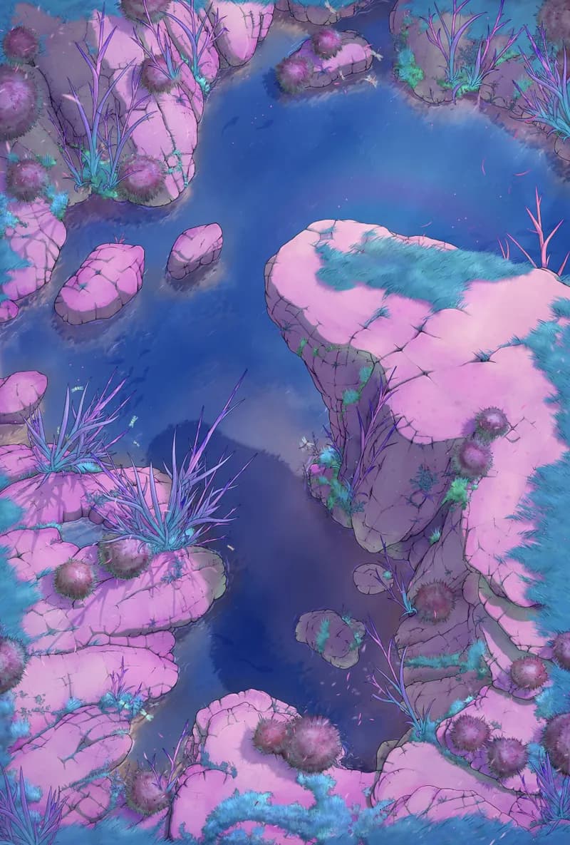 Whitecliffe Gorge Pool map, Pink Rock variant
