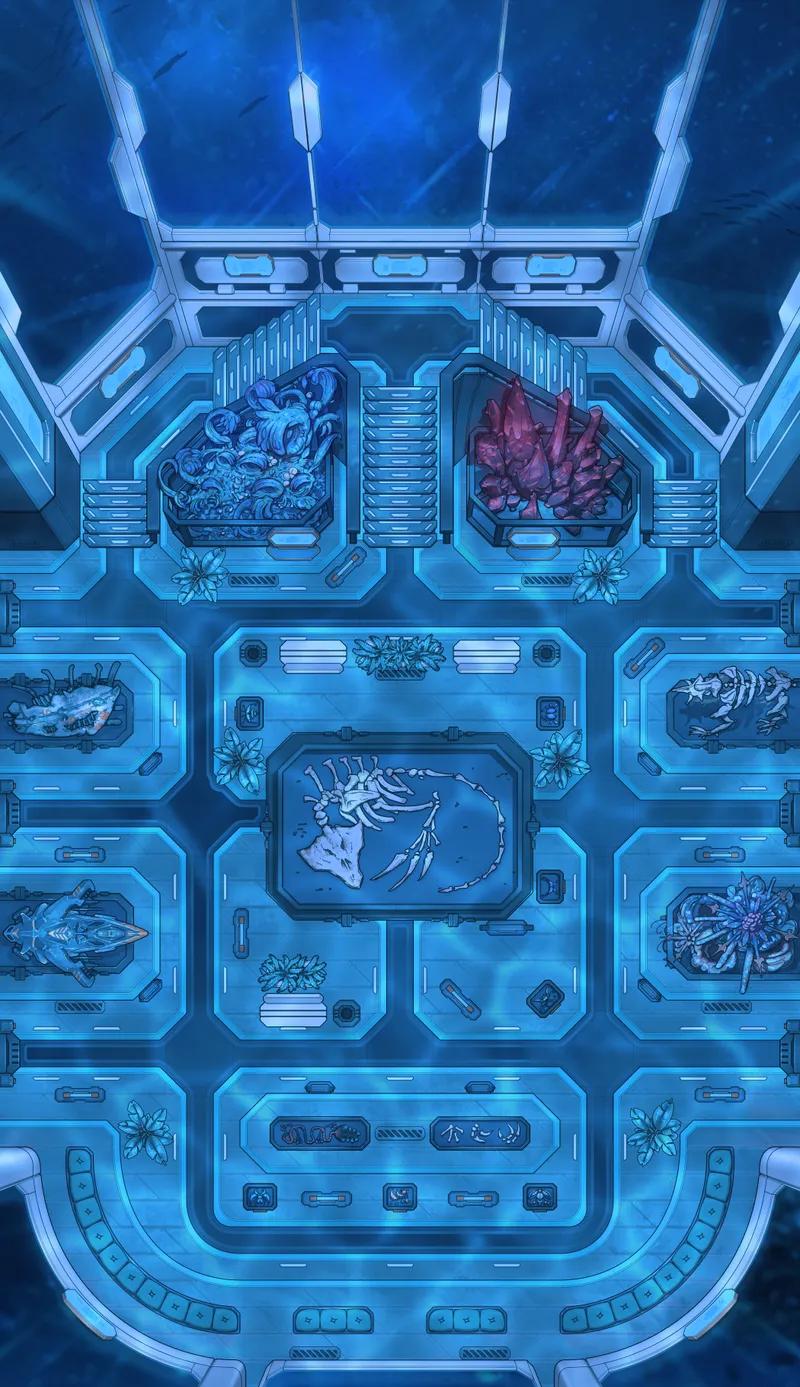 Intergalactic Museum map, Underwater variant