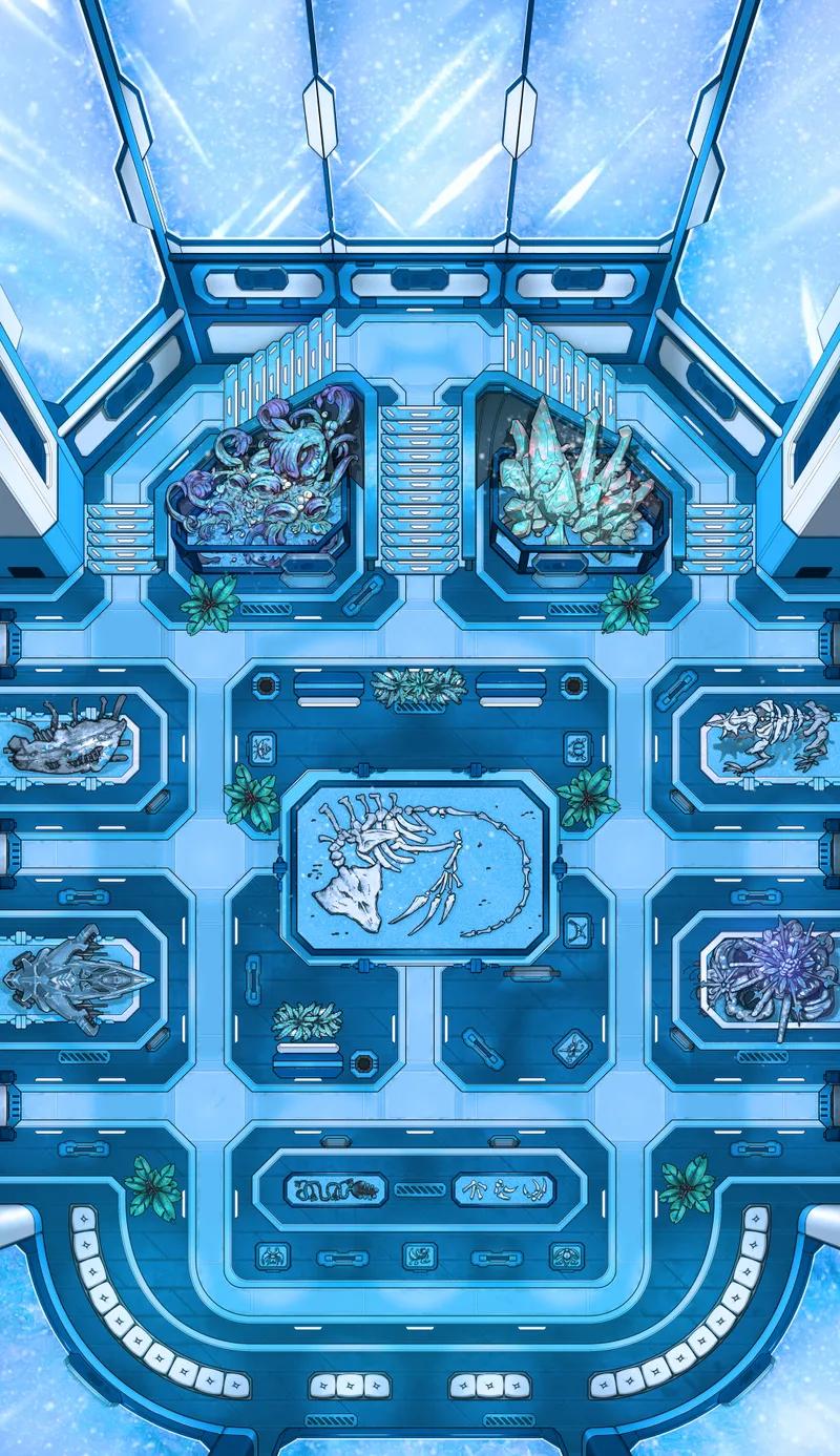 Intergalactic Museum map, Winter variant