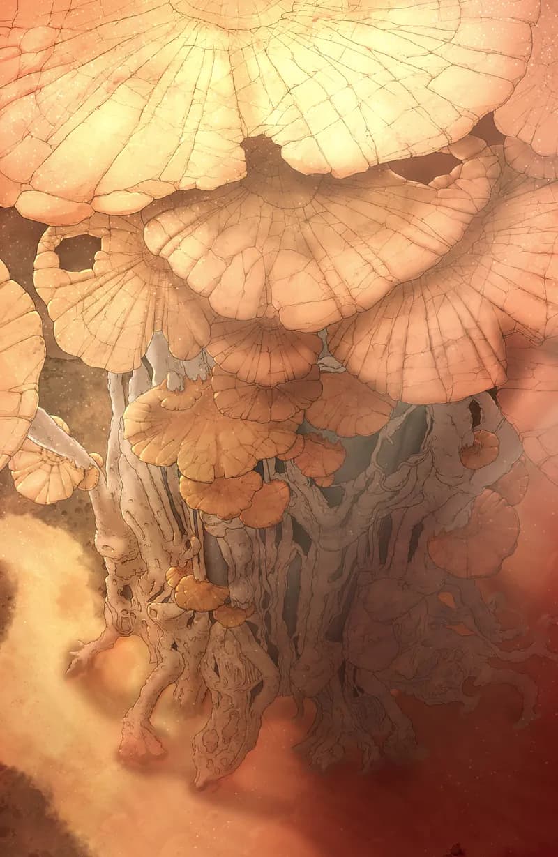 Fungal Falls map, Desert variant