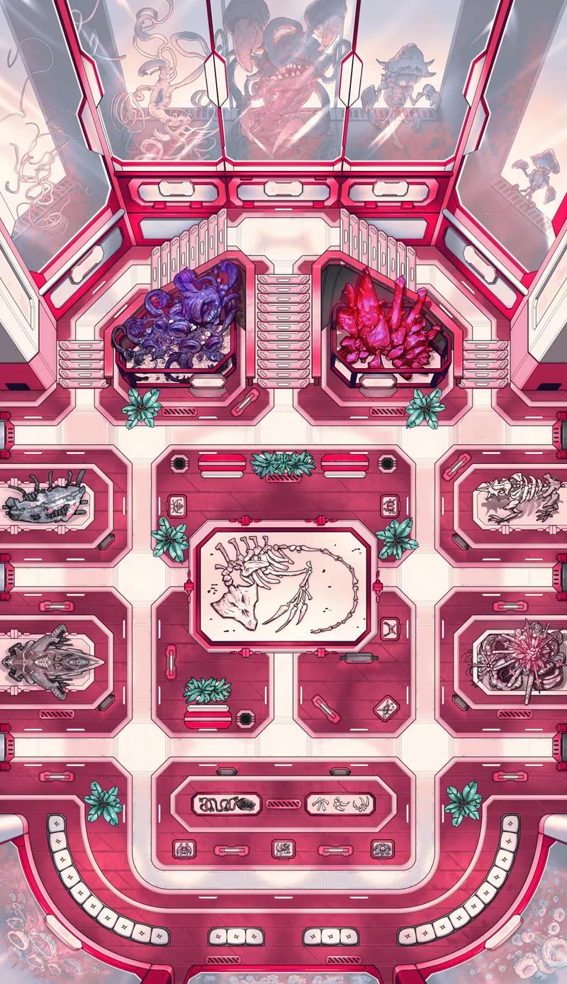 Intergalactic Museum map, Candy variant