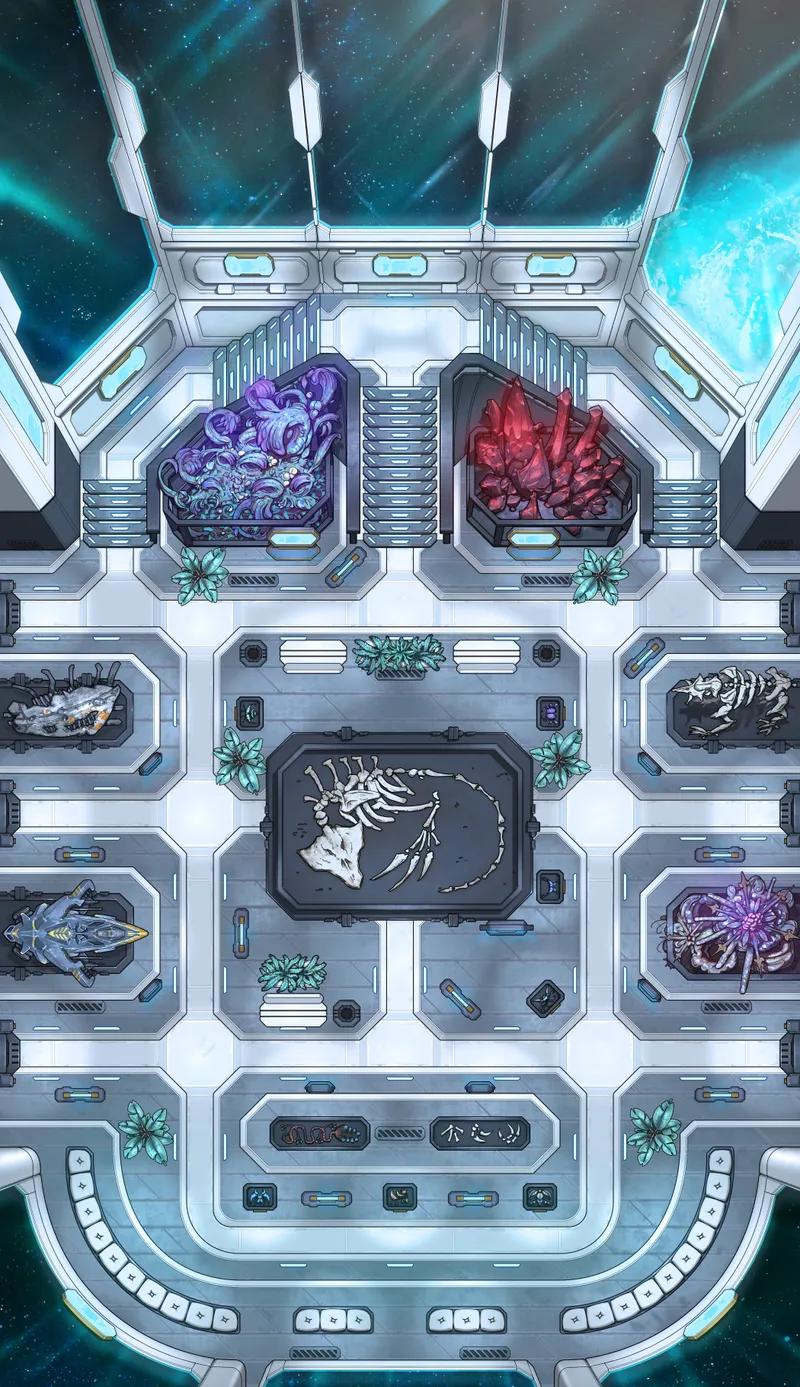 Intergalactic Museum map, Orbit variant