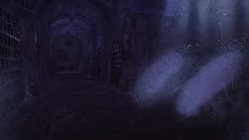 Medieval Jail map, Spider variant