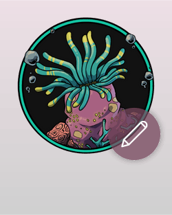 Anemone