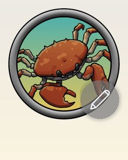 Crab